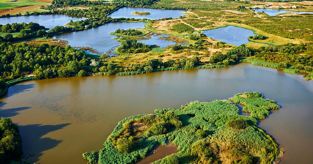 Parc Naturel de la Brenne